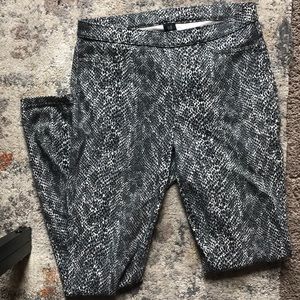 HUE Snakeskin legging